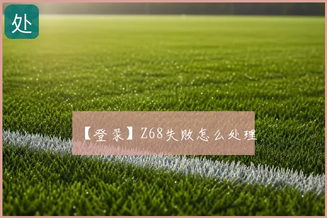 【登录】Z68失败怎么处理
