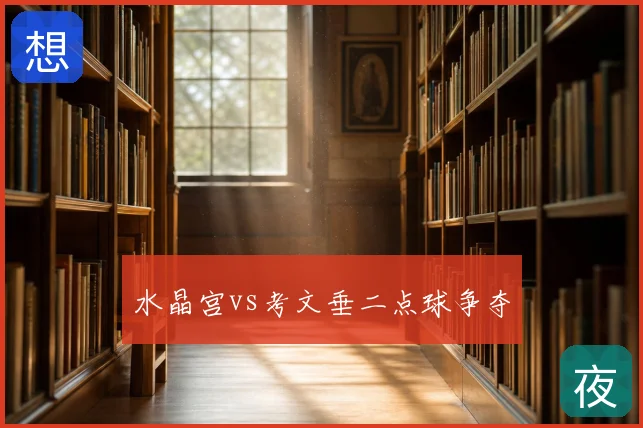 水晶宫vs考文垂二点球争夺